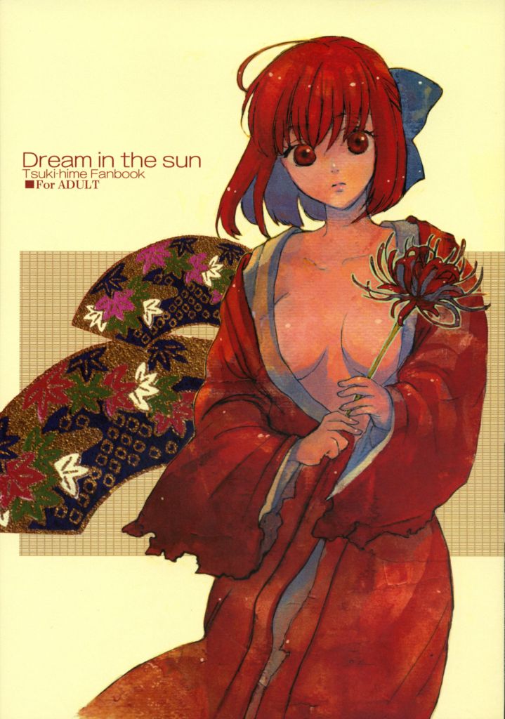 Dream in the sun (Tsukihime)