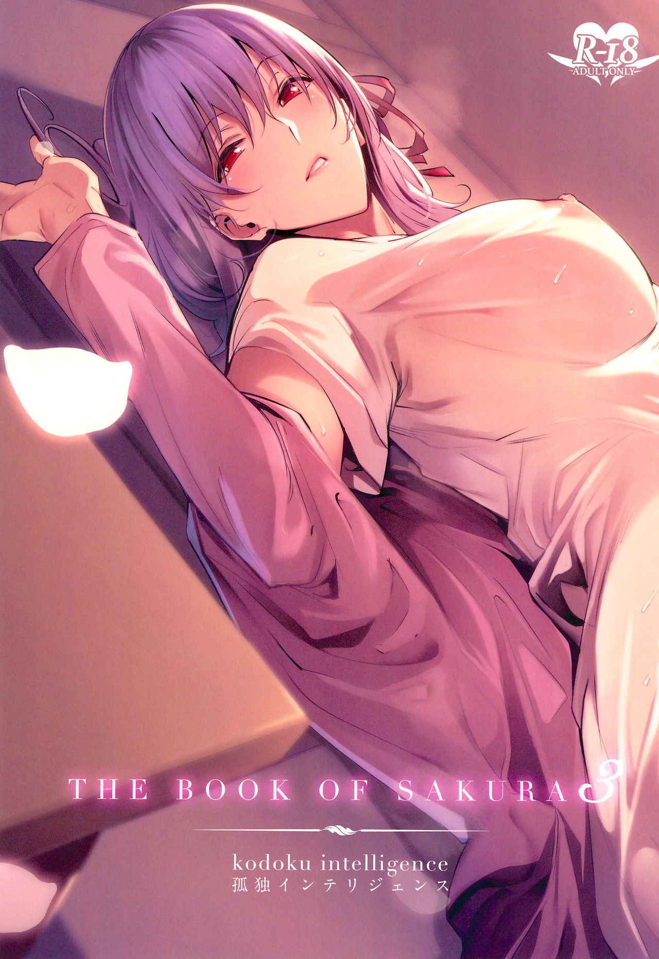 THE BOOK OF SAKURA 3 (Fate/Stay Night)